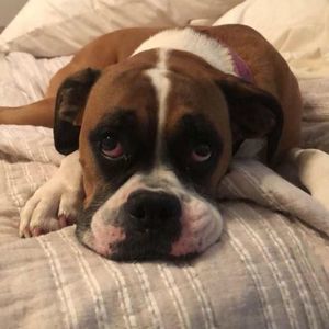 Meet your Posher, Kim